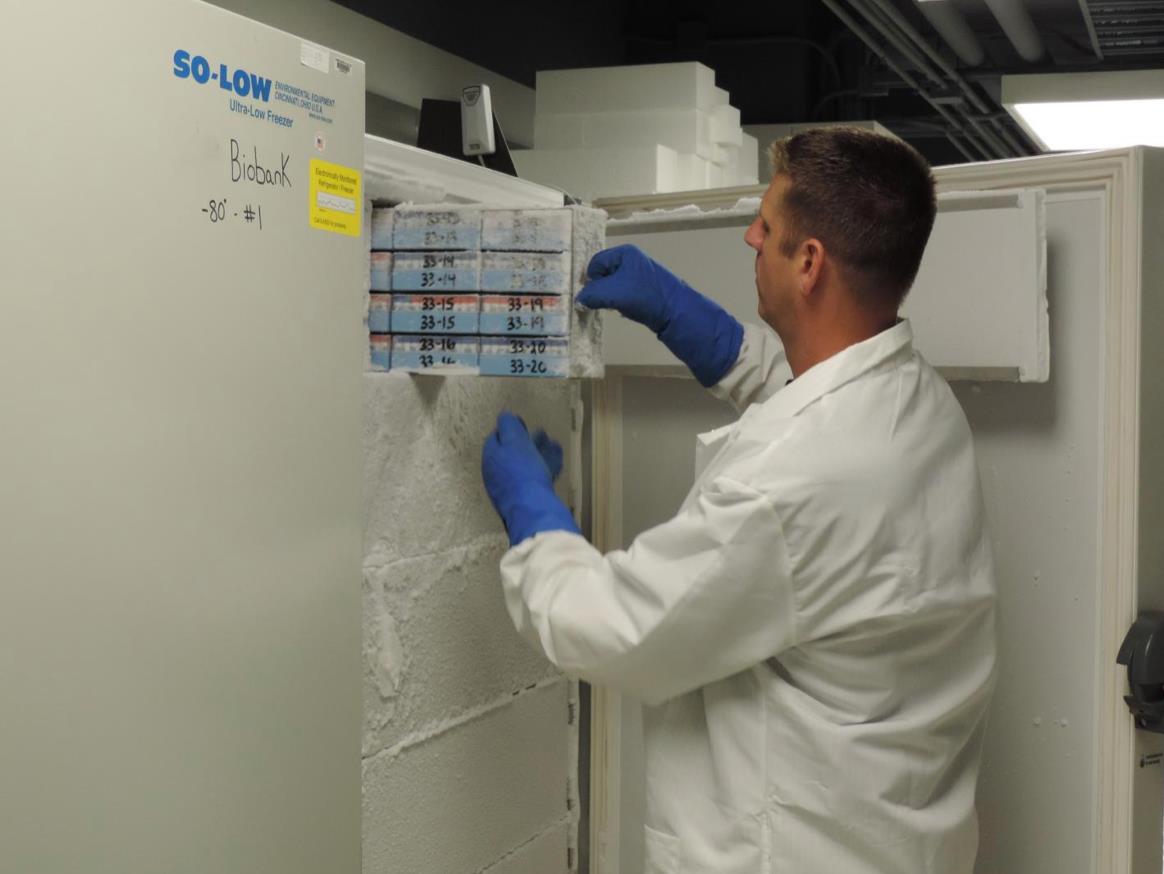 Researcher looks at samples in cold-storage biobank.