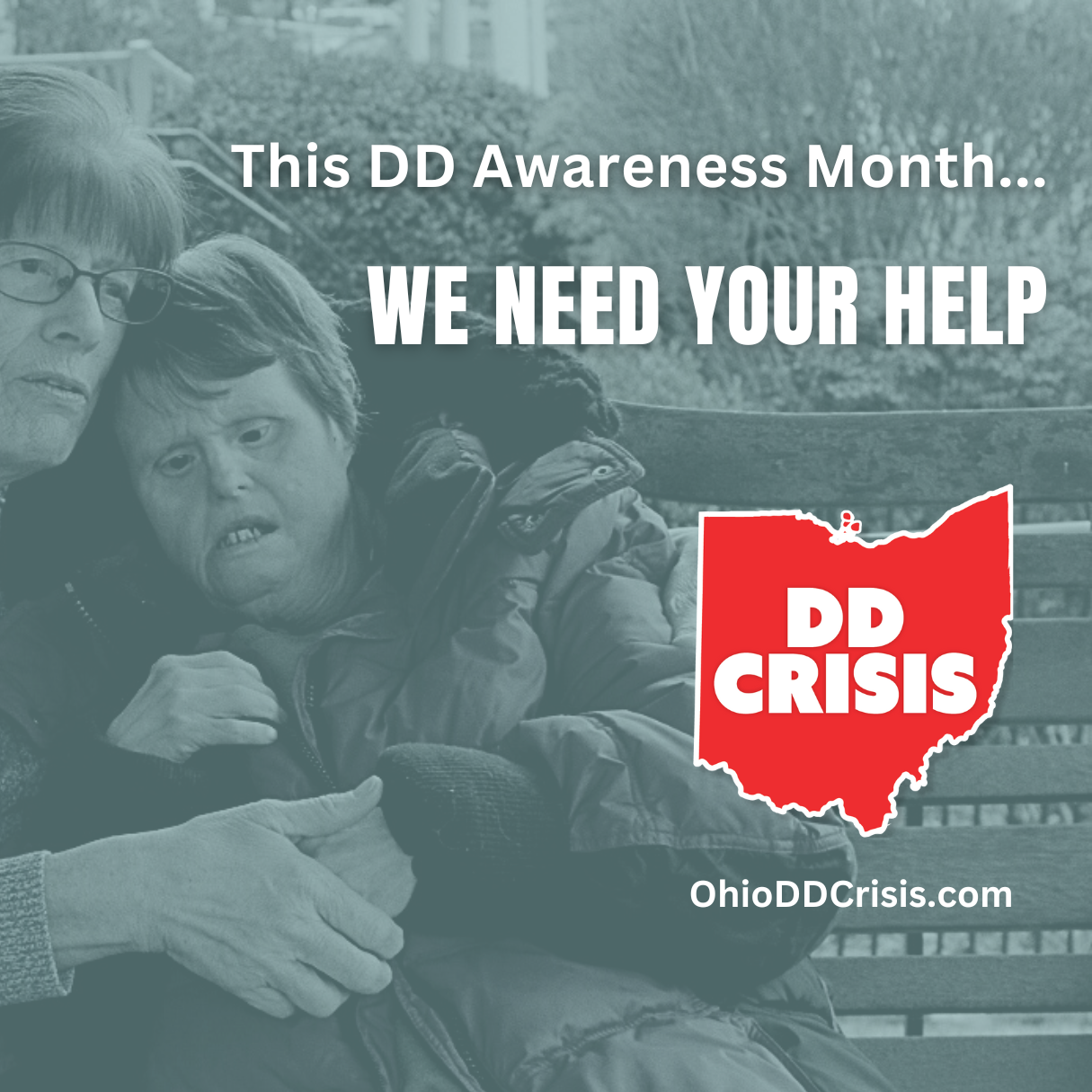 Photo image of woman holding person who has disabilities. Red and white image of DD Crisis logo and OhioDDCrisis.com web address.